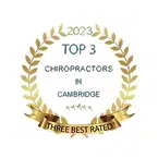 Top 3 Chiropractors in Cambridge